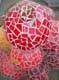 sagrada-fam_mosaic