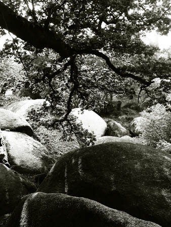 36_bretagne-huelgoat