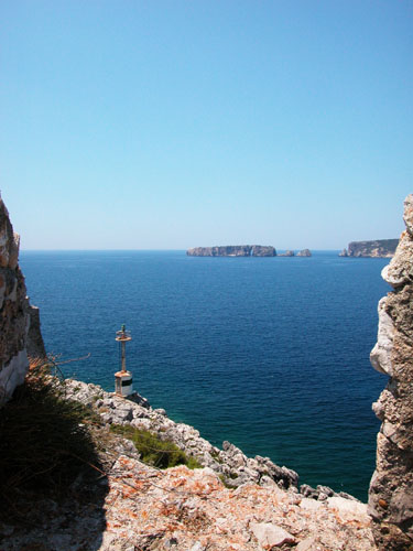 DSCN0351