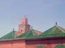 DSCN5527